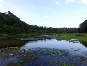 Ríos de Jarabacoa y Constanza lucen contaminados