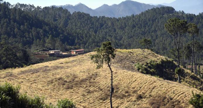 Desalojados en Valle Nuevo piden les permitan trabajar en otros predios