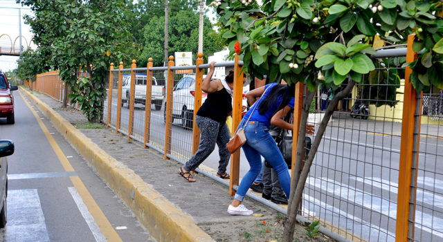 CONTINUAN DESTRUYENDO VERJA PROTEJE ESTUDIANTES UNIVERSITARIOS