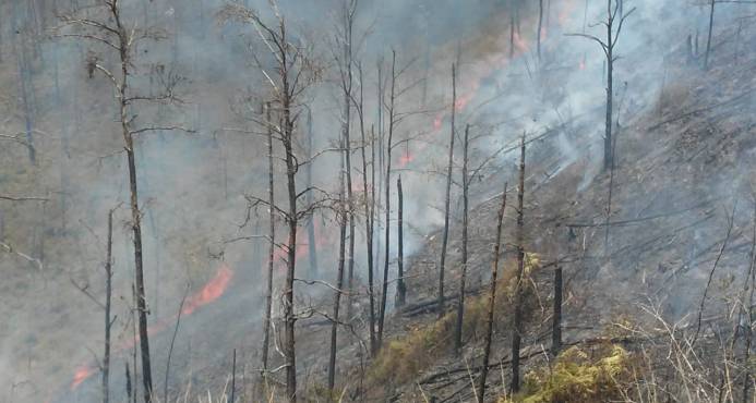 INCENDIO EN CORDILLERA CENTRAL