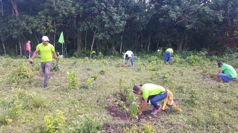 EDENORTE reforesta en San Francisco de Macorís