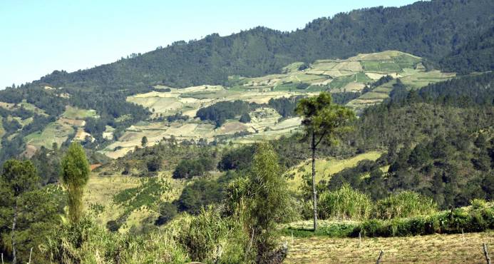 Respaldan acciones de Medio Ambiente en Valle Nuevo
