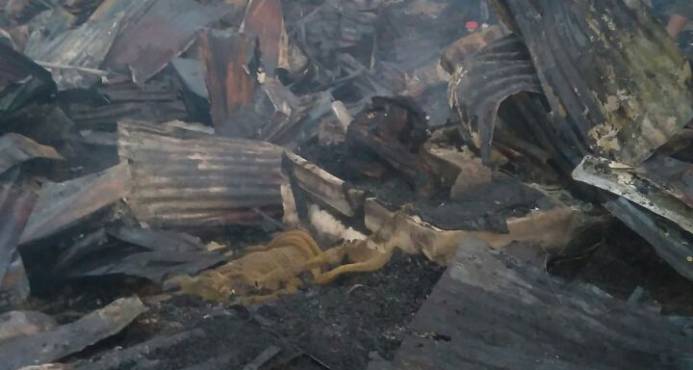 Muere hombre durante fuego que destruyó 10 casas