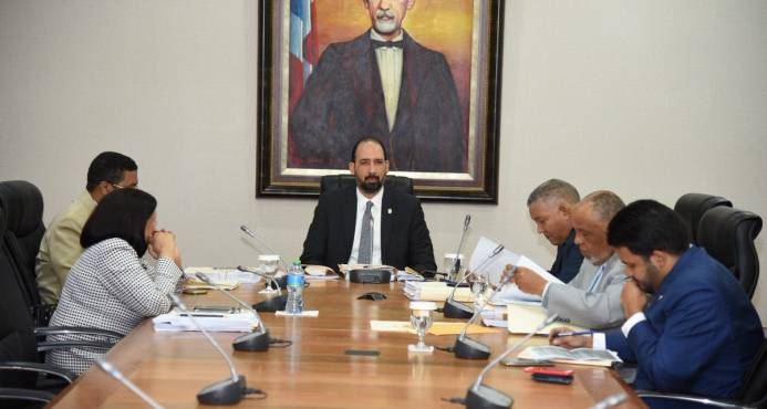 Subcomisión corregirá informe que depositará comisión sobre ley de partidos