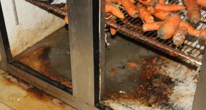 Cucarachas, comida dañada y heces de animales había en pica pollos cerrados