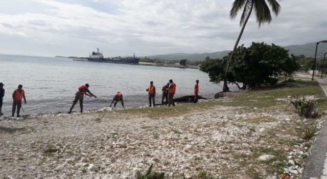 Remanentes de Isaac provocan oleaje anormal en Barahona