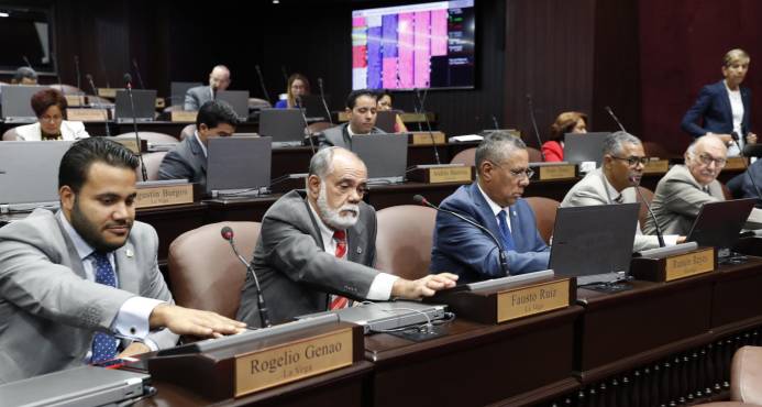 Camara Baja aprueba proyecto de ley que obliga instalar detectores de metales en lugares que asistan muchas personas