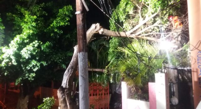 LLUVIAS PROVOCAN INUNDACIONES Y CAIDAS DE ARBOLES