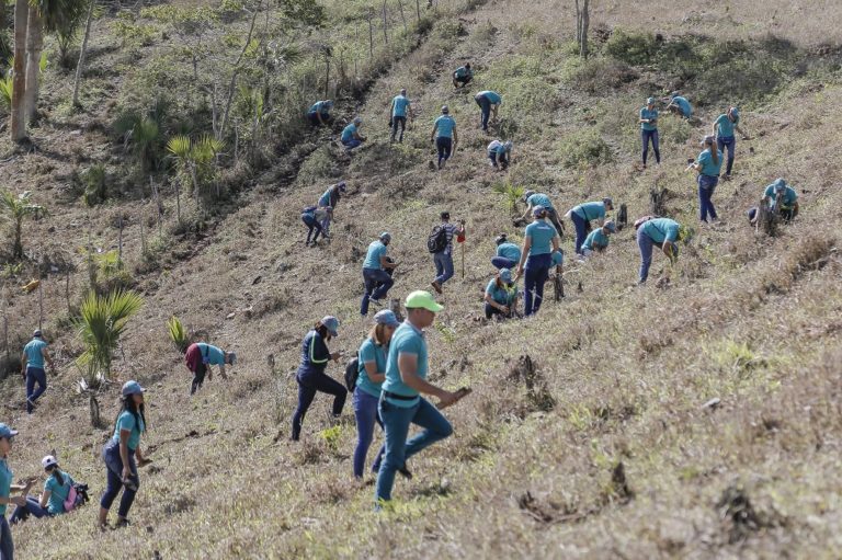 EDENORTE  y Plan Sierra realizan siembra en contribución al medio ambiente