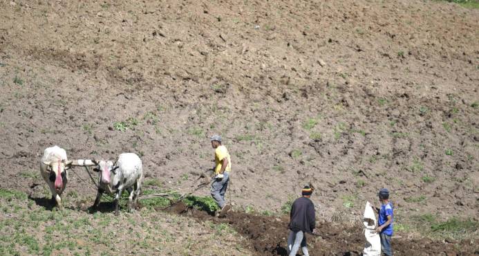 DESALOJADOS DE VALLE NUEVO AMENAZAN CON OCUPARLO