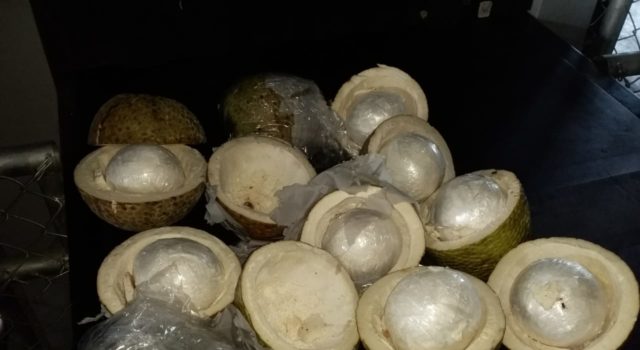 Ocupan  cocaína dentro de un cargamento de buen pan