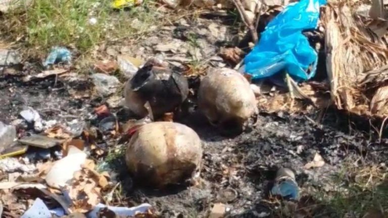 INVESTIGAN CRÁNEOS ENCONTRADOS EN BASURERO
