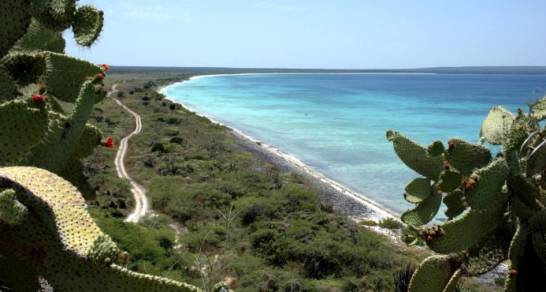 Clúster turístico de Pedernales escéptico