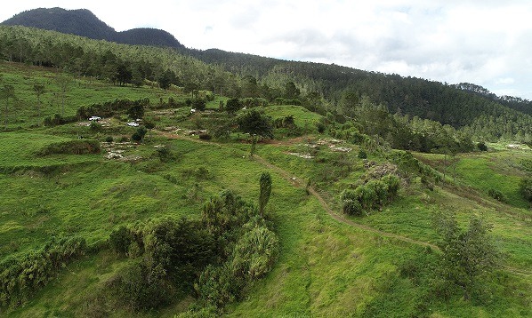 Medio Ambiente afirma zona protegida en Valle Nuevo está libre de labores agrícolas