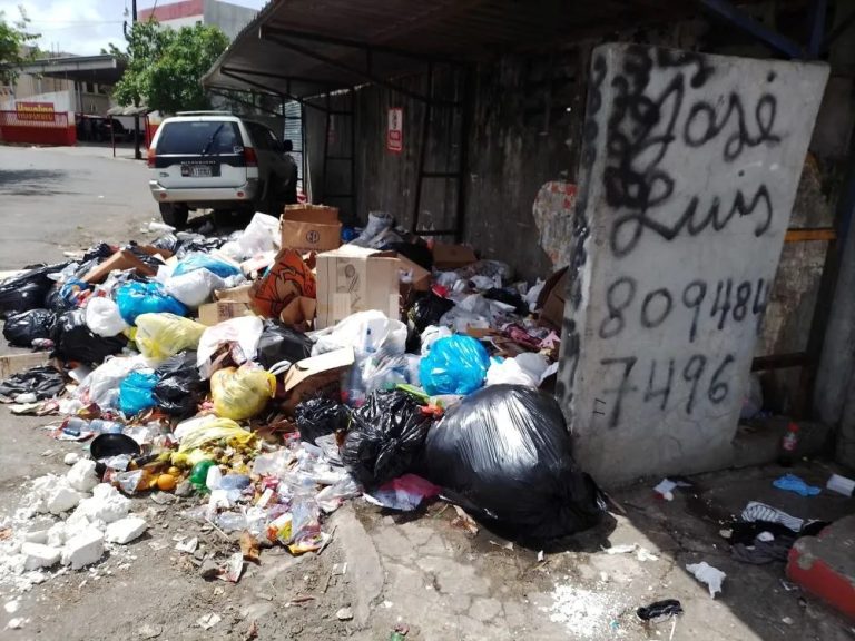 Temen surja brote de enfermedades por vertederos improvisados