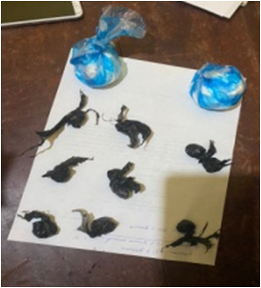 PN apresa dos personas con 127.2 gramos de presunta droga