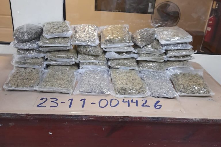 Desarticulan red traía marihuana desde EEUU y apresan a cinco