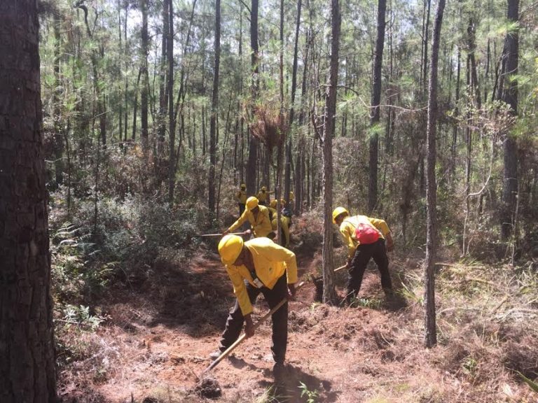 Continúan atacando incendios en distintos puntos del país