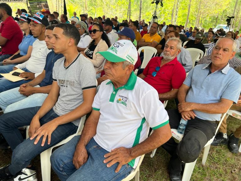 Destaca importancia del sector forrestal para la tierra