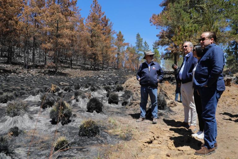 Presidente Abinader anuncia acciones en zonas afectadas por incendios