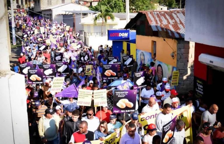 El PLD marcha  contra alto costo de la vida y la inseguridad