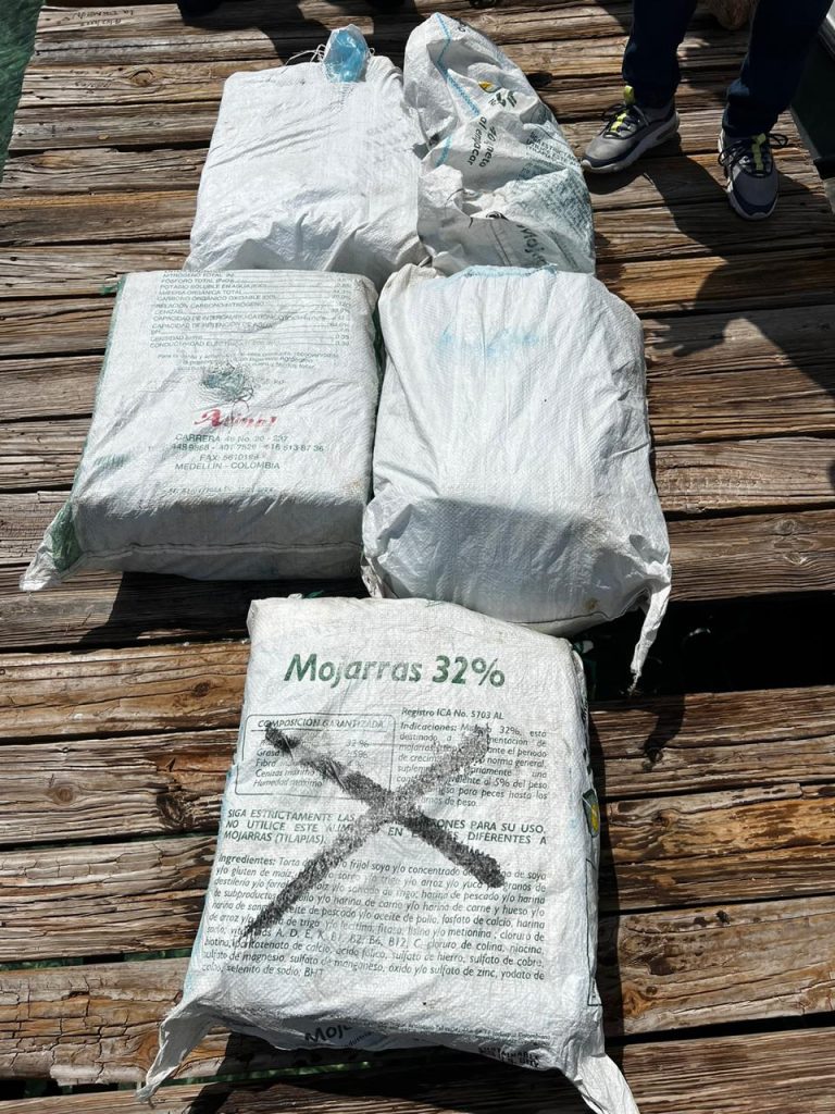 Incautan 126 paquetes de cocaina