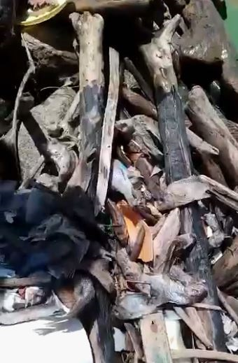 Mineras contaminan presa de Hatillo; hay miles de peces muertos