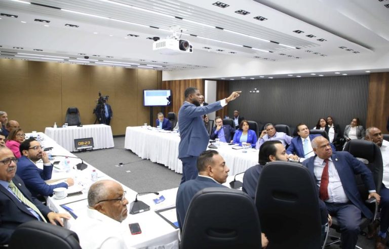 Pleno de la Cámara de Cuentas fue entrevistado por diputados