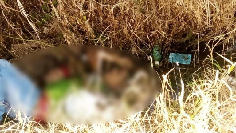Matan cuatro a balazos por ajuste de cuenta