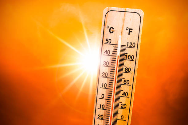 Unas  18 muertes ha provocado ola de calor en un  de condado de Arizona