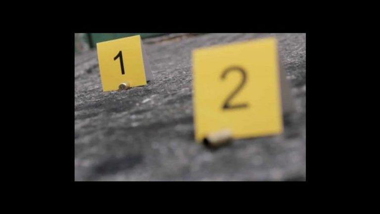 Policía mata a dos delincuentes