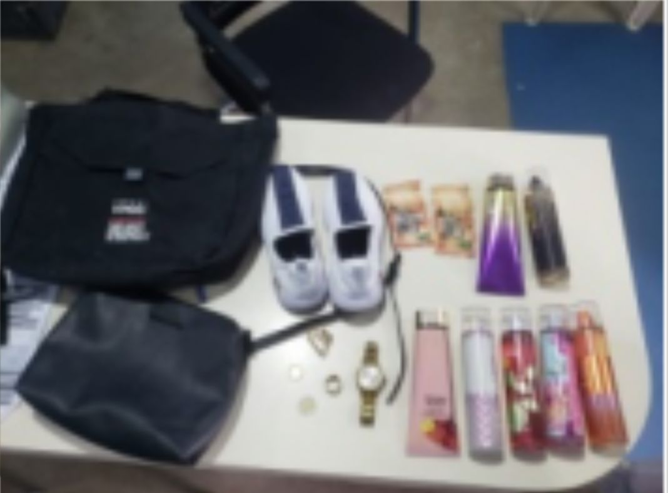 Policía Nacional apresa mujer  por robo