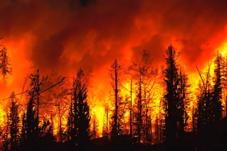 Incendio forestal deja por ahora 53 muertos en Hawái