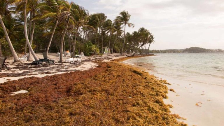 República Dominicana recibirá colaboración de España