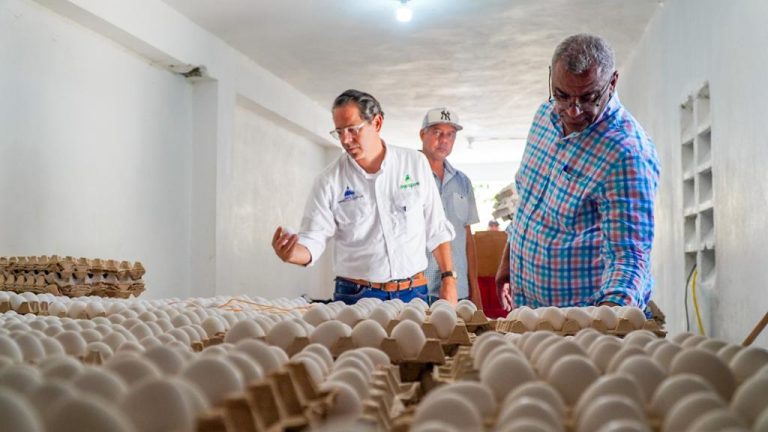 En Dajabón | Inespre inicia compra de pollos y huevos a productores afectados