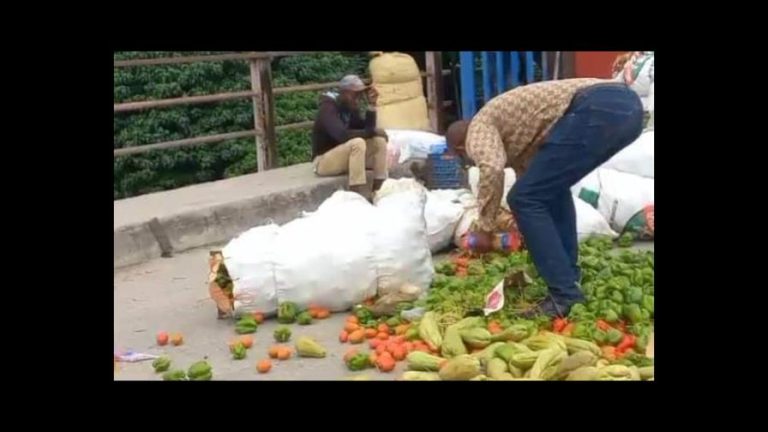 Destruyen productos dominicanos cruzados a territorio haitiano