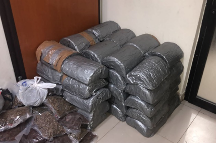 DNCD desarticula red de narcotráfico en Santiago