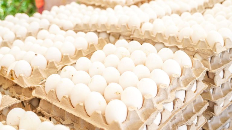 Gobierno dispone venta de cartones de huevos a 100 pesos mañana jueves en 76 supermercados a nivel nacional