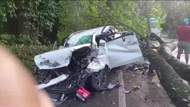 Un muerto y otro  herido al caer árbol sobre vehículo