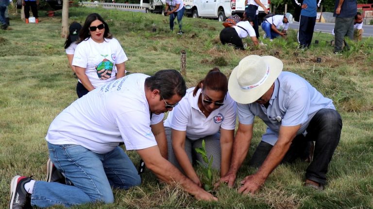 Coraasan y Medio Ambiente realizan jornada de siembra en  zona norte de Santiago