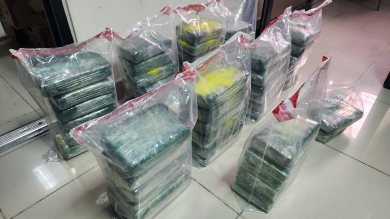 OCUPAN EN CARGA DE COCOS 56 PAQUETES PRESUMIBLEMENTE COCAÍNA