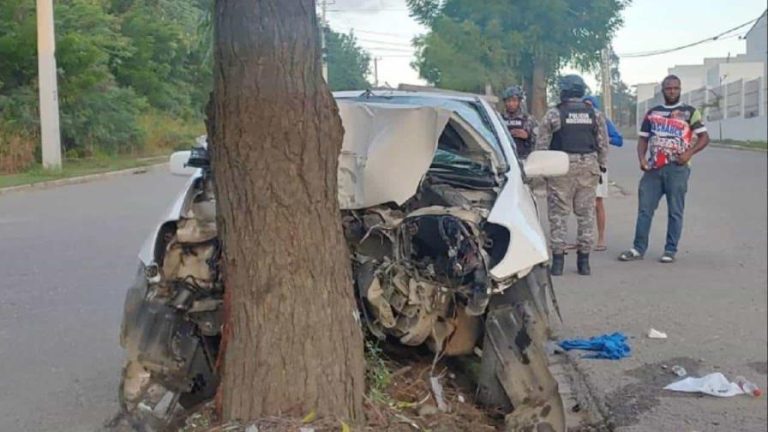 Mueren enfermera y su hijo al chocar vehiculó con árbol