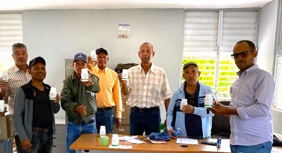 Agricultura distribuye  insecticida orgánico para eliminar  plagas en cultivos de habichuelas