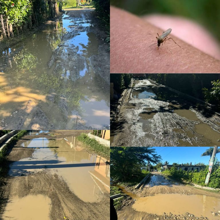 Moradores  de Luperón denuncian plaga de mosquitos por aguas estancadas