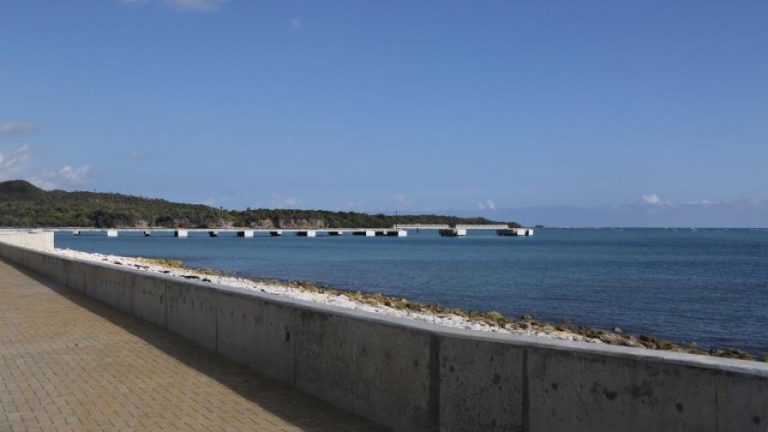 Llegada del crucero Caribbean Princess a terminal de Puerto Plata fue cancelada