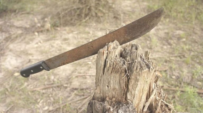 Decapitan agricultor en su finca