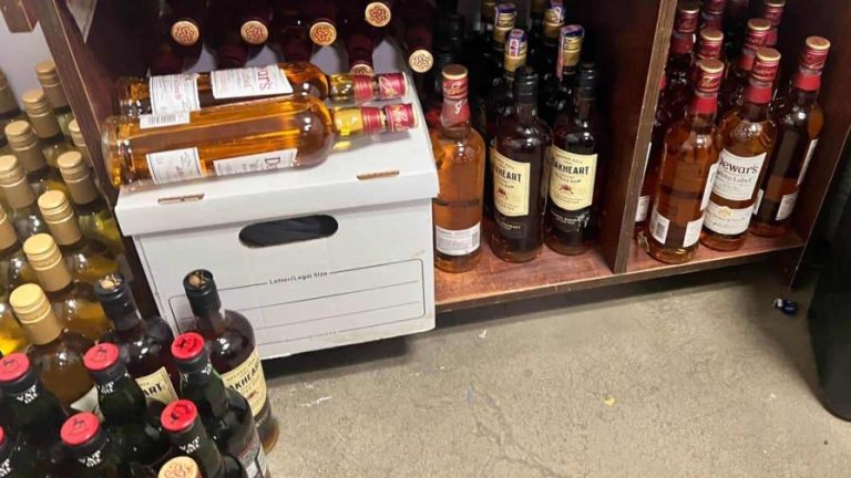 Apresan dos por robo de mercancías valoradas en 18 millones de pesos