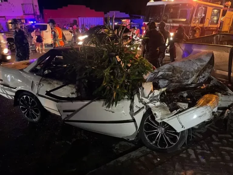 Mueren dos calcinados dentro de vehículo