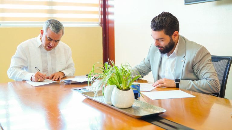 Gobierno compra más de 13 millones de guineos a productores; INESPRE los vende a peso la unidad