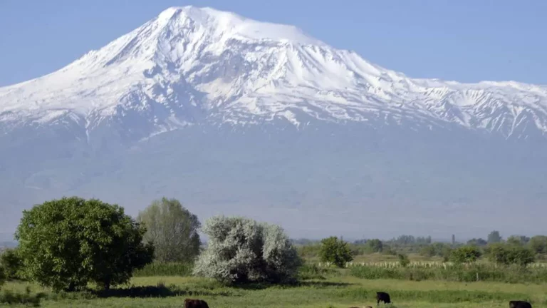 Científicos urgen medidas ante un calentamiento sin precedentes